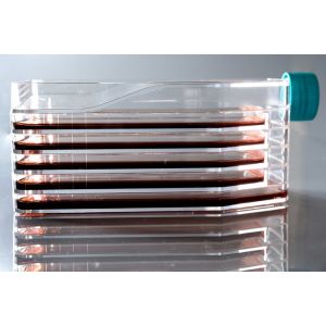 870cm Cell Culture Flask bacterial culture flasks