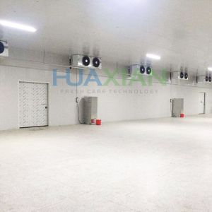 China Sale Industrial Refrigeration Equipment Modular Container/Walk in Freezer