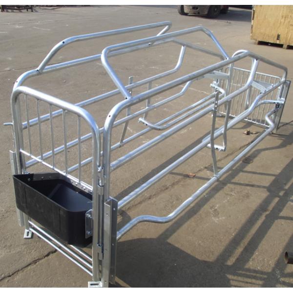 hot dip galvanized pig farrowing crate pig cages for pig farming