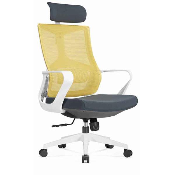 Ergonomic Desk Chair Mesh Computer Chair with Lumbar Support Adjustable Headrest Task Chair