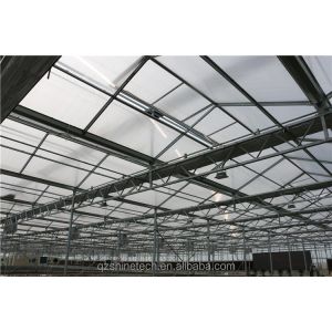 8mm PC Sheet Multi Span Agricultural Greenhouses For Sustainable Agriculture