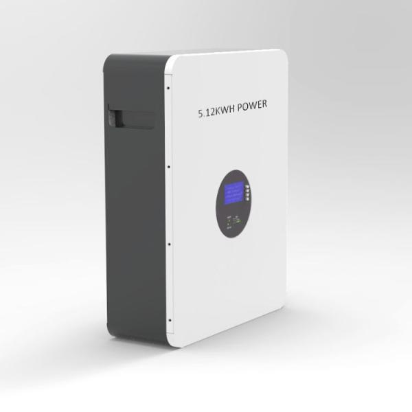 6 inch ARRIVAL (3).jpg