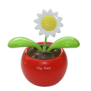Quality Flip Flap Flower for sale