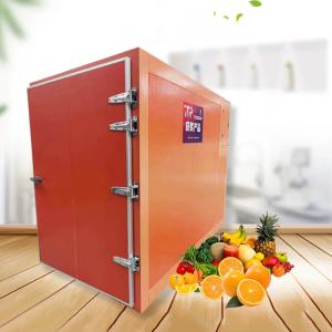 China Factory Directly Supply Dehydrator Home Home Food Dehydrator With Low Price on sale