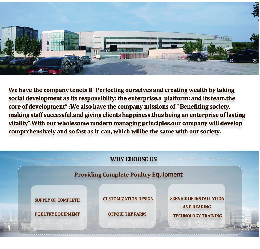 High Quality Broiler Chicken Cage Equipment