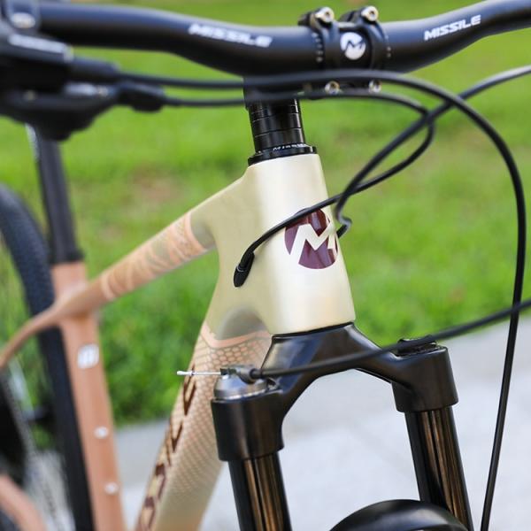 29 Inch MTB Mountainbike Carbon Fibre Hard Frame Mountain Bike Speed Bicicletas