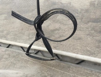 Full Open Roof Ventilation Tunnel Type Greenhouse for Agricualtural Farming