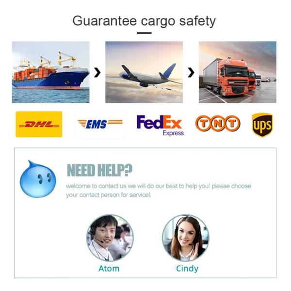 Solid Core Israel WPC Painting Interior Front Door Wooden Timber