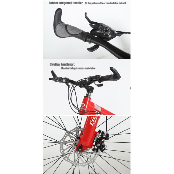 29 inch Mountain Bike 24 Speed OEM Bicycle with Steel Fork and Customizable Options