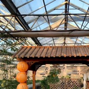 China Advanced Hydroponic Vegetable Growing In Large Glass Greenhouse on sale