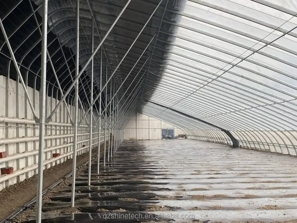 Small Energy Saving Passive Solar Greenhouse with Hot Dip Galvanized Steel Structure