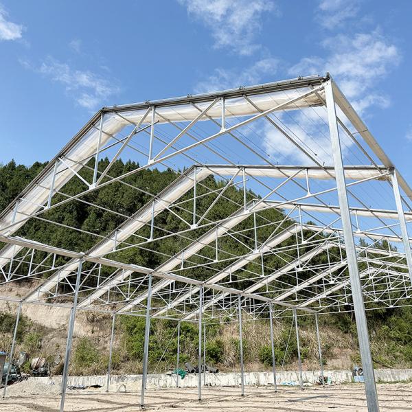 Hot Galvanized Steel Structure Tomato Plastic Film Retractable Roof Agricultural Poly Tunnel Greenhouse