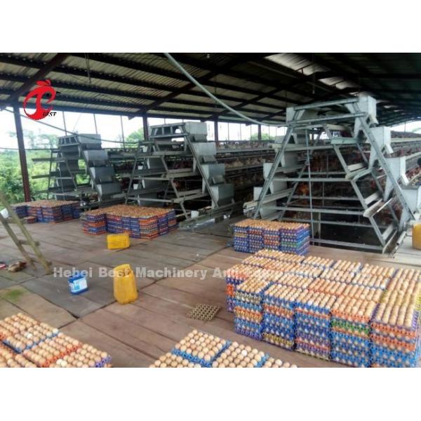 Hot Dip Galvanized Poultry Cage System White Layer Farm Bird Housing Adela