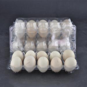 Quality 10 Cavities Clear Plastic Egg Cartons PET Disposable Egg Plastic Box Clear for sale