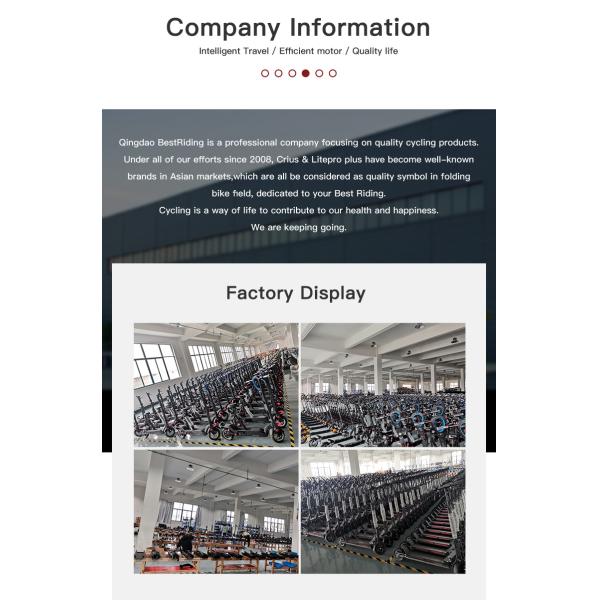 Full Suspension Rear Hub Motor Electric Bike With 48v 1000w Power And REMOVABLE BATTERY