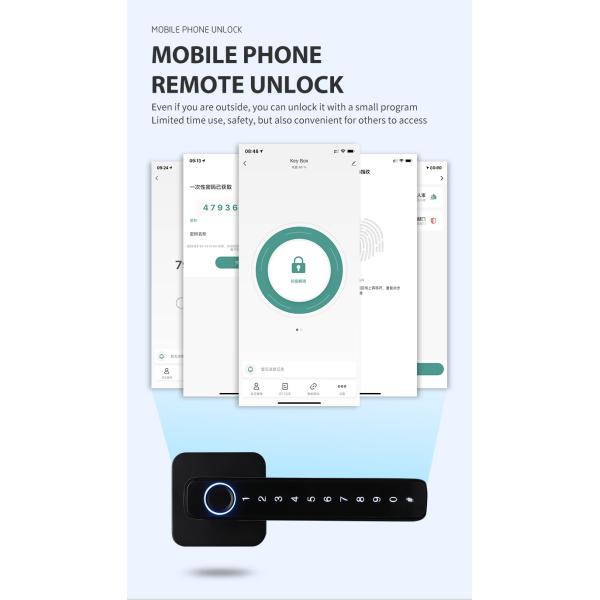 Zinc Alloy Tuya APP Smart Lock Password Keyless Electronic Home Door Lock