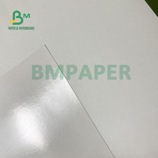 230gsm+15gsm Durability PE Coated Cup Stock Paper For Soup Bowl 560mm X 700mm 230gsm+15gsm Durability PE Coated Cup Stock Paper For Soup Bowl 560mm X 700mm