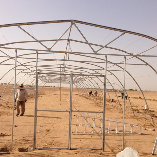 48mm/58mm Pipe Diameter Metal Frame Greenhouse for Vegetable at a Budget-Friendly