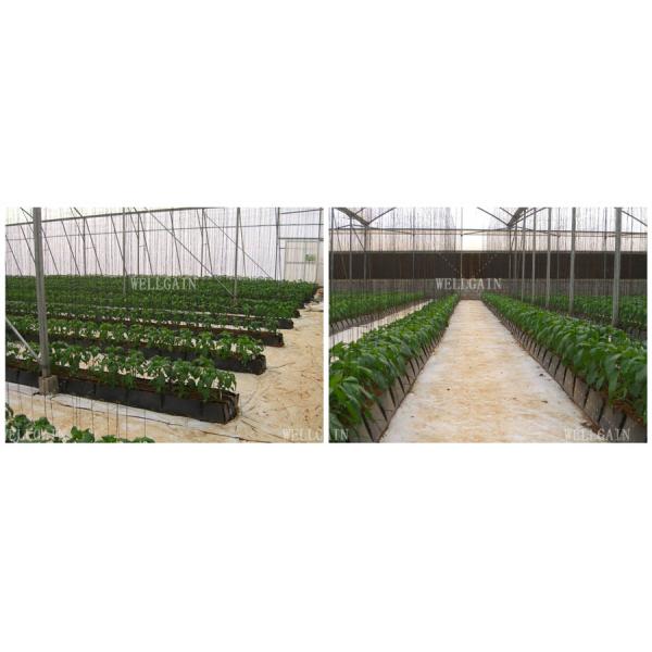 Hydroponics Planting Trough PP Roll Drain Spacer Folding Planter Gutter For Agriculture