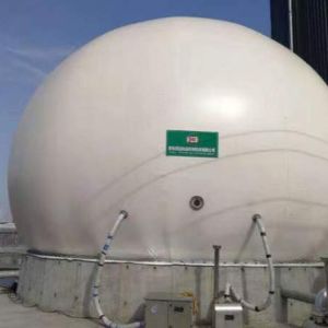 IC UASB Gobar Gas Plant Project Methane Digester Tank Movable