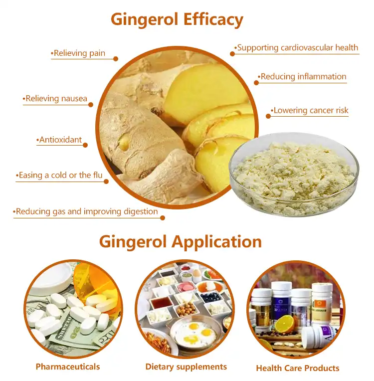 Ginger root powder benefits