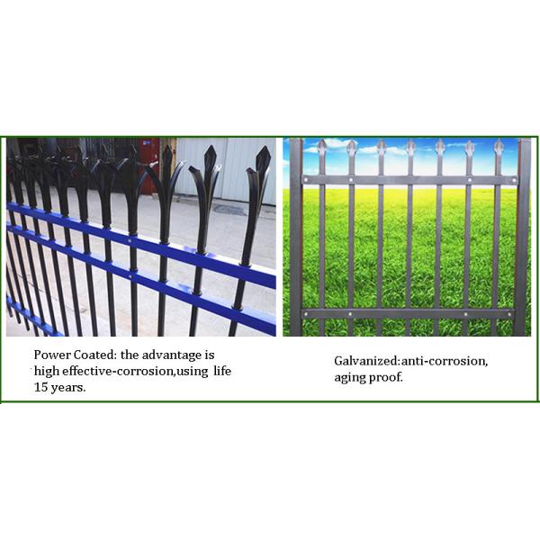 PVC Coated Ornamental Spear Top Security Steel Tubular Fence in Garden, Home, Factory, School, Villa