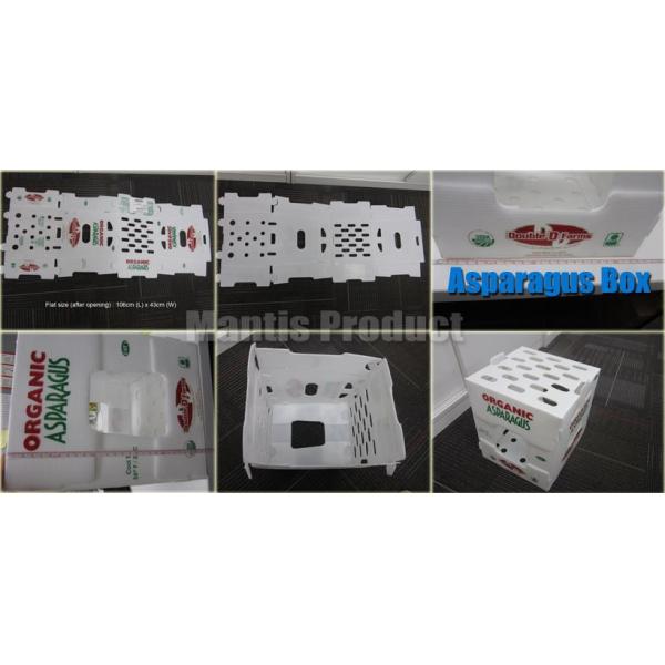 4.5mm 5.5mm Corrugated Plastic Packing Box Fish PP Corrugated Bin