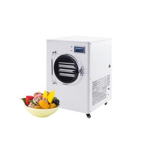 Quality Eco Friendly Small Freeze Dryer Home Freeze Dryer Liquid Food With Low Price for sale