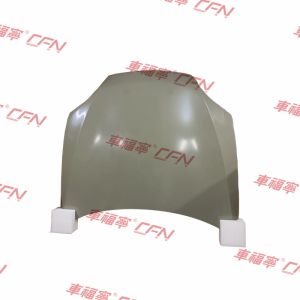 Quality HOOD ASSEMBLY COMP ECOAT ONLY 1051875-E0-G Waterproof Durable for sale