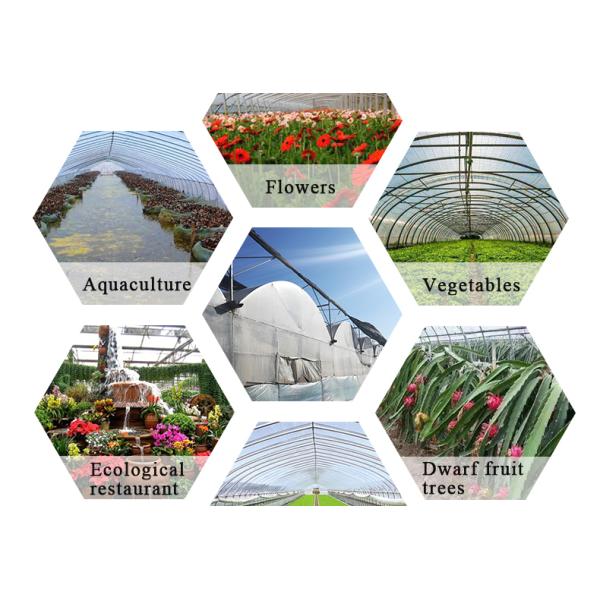 Single Layer Tower Garden for Aduaponics Affordable Agricultural Greenhouse