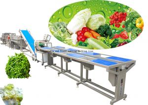 Quality Customized Vegetable Processing Equipment / Fruit And Vegetable Washer Machine for sale