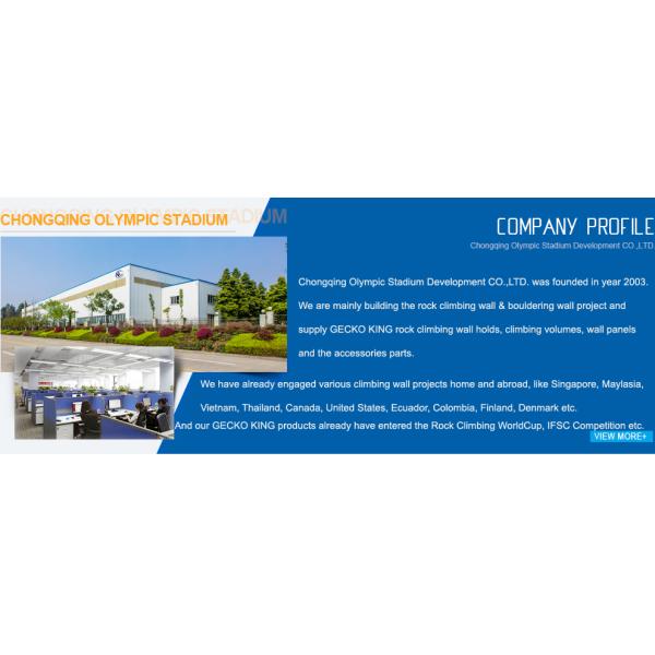 Outdoor Swimming Pool Rock Climbing Wall For Adults AT-SWP001