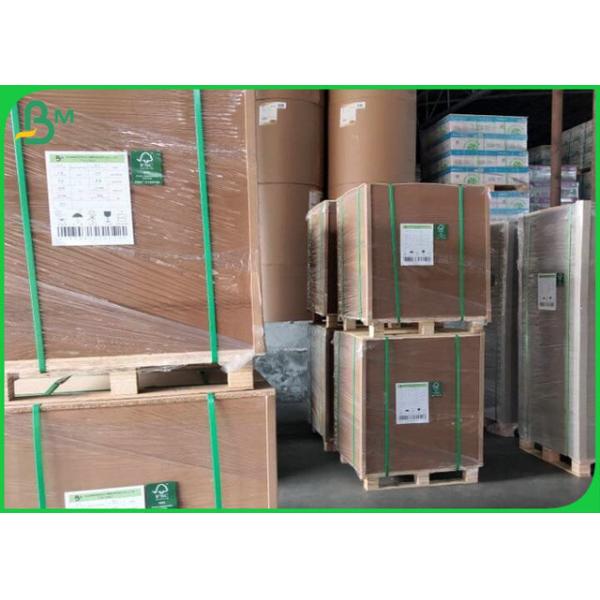 Brown Front Side Coated Kraft Paper 300g + 15g PE Making Salad Bowl In Rolls Brown Front Side Coated Kraft Paper 300g + 15g PE Making Salad Bowl In Rolls