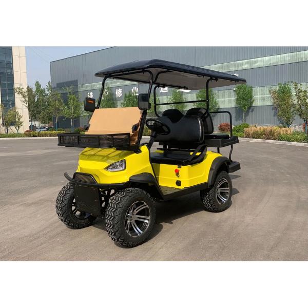 Mini Electric Vehicle 2 Seater Lifted Buggy Golf Carts Lead Acid Lithium Battery Powered
