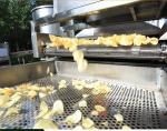 Potato Chip Fryer Processing Line Equipment Customization for Consistent