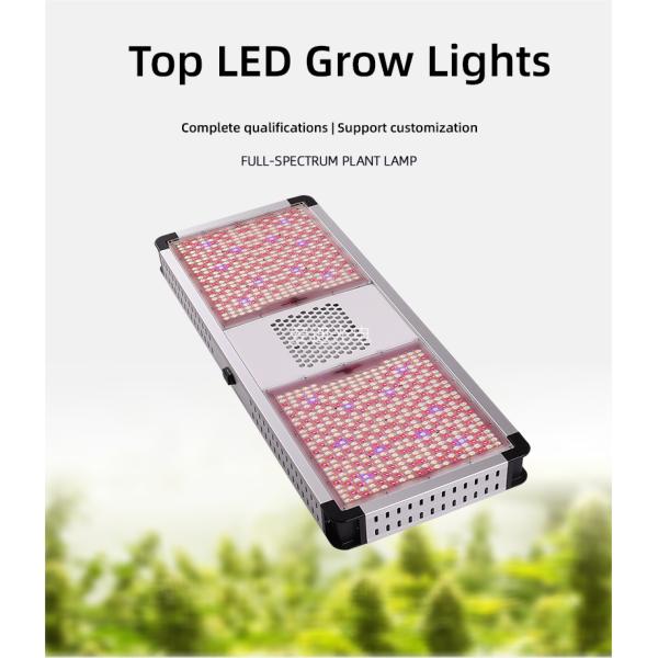 Dimmable Top LED Grow Lights Full Spectrum 800 Watt LED Grow Light