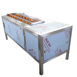 Stainless Steel Cassava 1500kg/H Potato Washer And Peeler Machine