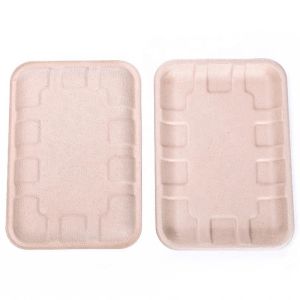 Quality Biodegradable Bagasse Sugarcane Food Tray Fruits Vegetables Disposable Party Tray for sale