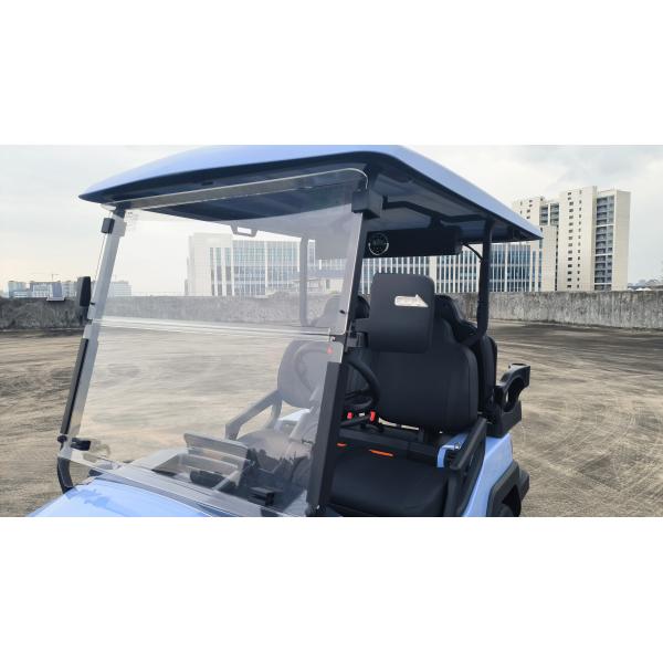 2 4 6 Seat Electric Lithium Battery Sightseeing Golf Cart Golf Buggy Car with DOT Comfortable and Spacious