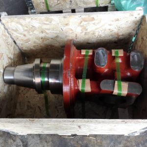 Quality TEREX 15231622 SPINDLE ASSY-LH for terex tr60 DAMPER for sale