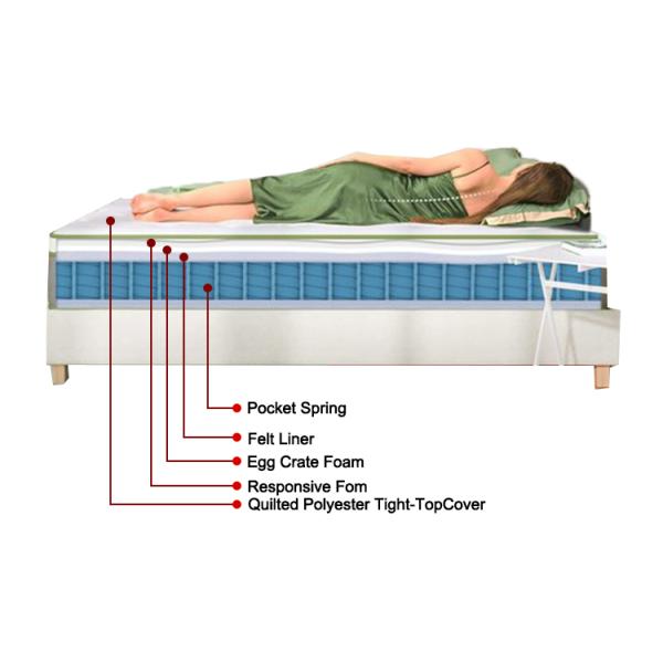 Factory Customization Medium Soft Compressed Roll up Hotel Use Layer Pocket Spring Unit of Non Glue