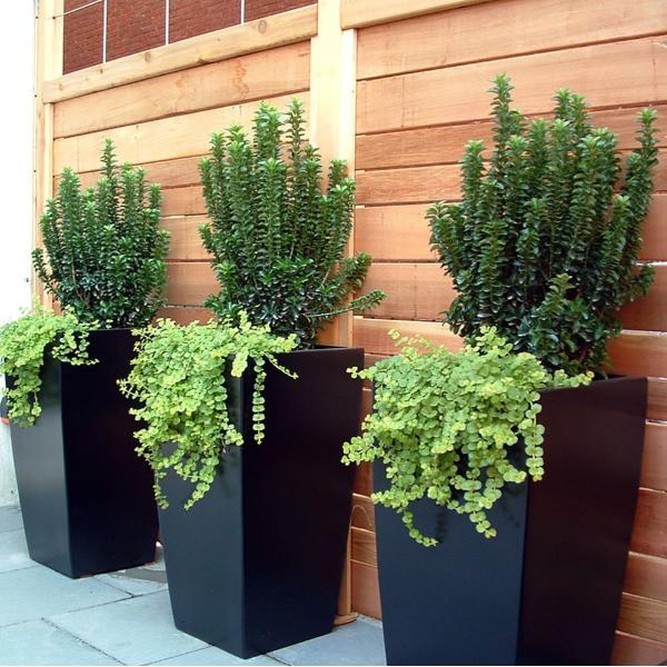 Square Fiberglass Flower Planter Pots For Indoor And Outdoor