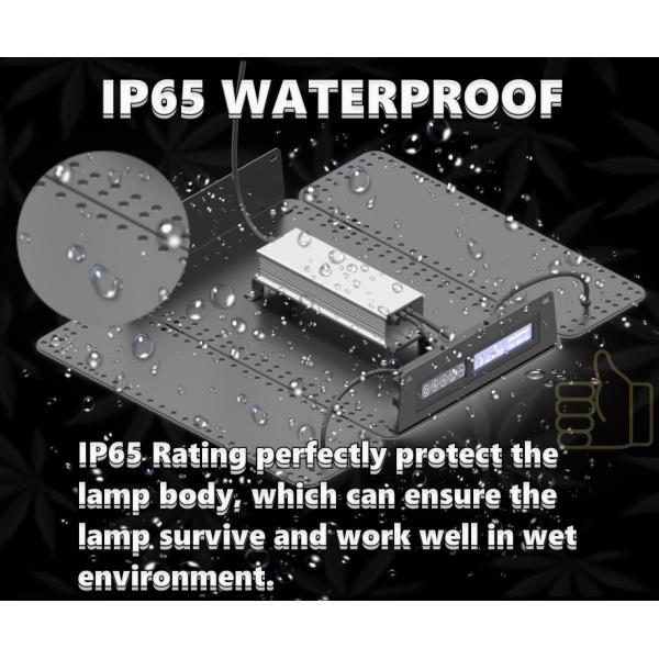 120x120x200,Indoor Plant Grow Tent, Waterproof, 4x4ft, for Medical Plants Growing, With High Efficiency 480W LED Panel