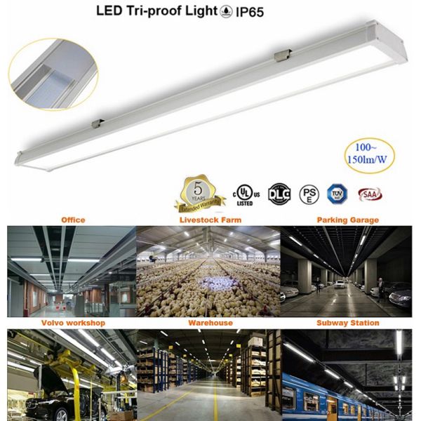 6ft 80W LED Tri Proof Light with 5 Years Warranty and 120° Beam Angle for Food Factory