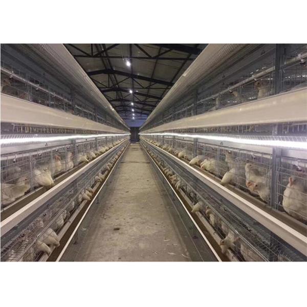 Breeding Layer Chicken Cage Q235 Battery Cages For Laying Hens