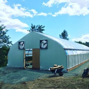 Single Span Small Gutter Connected Backyard Light Dep Greenhouse