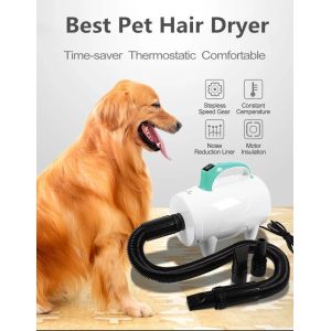 Quality Cleaning Tool ABS 600W Heating 20m/s Dog Hair Dryer for sale