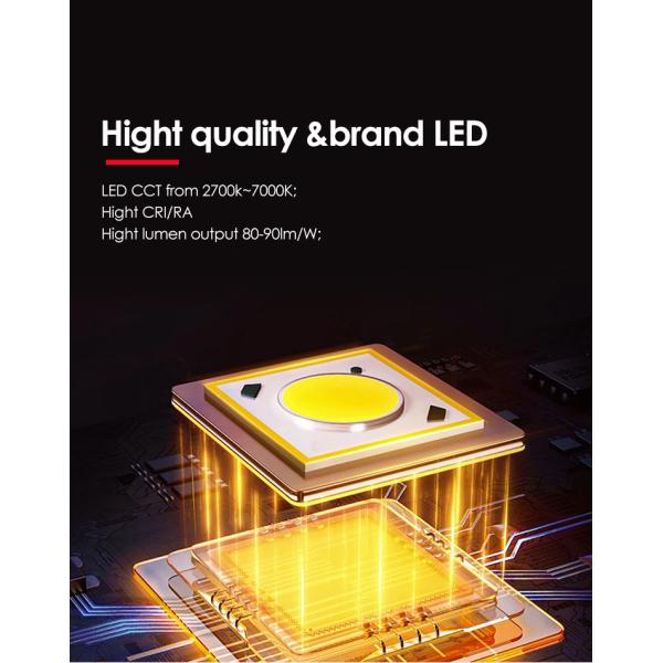 Outdoor Led Waterproof Garden Light Frosted diffuser AC Powered For Path Courtyard Garden Decoration Use