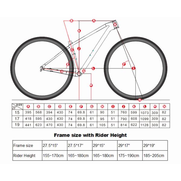 WARRIOR Pro RS 13 Speed Twitter Carbon Road Bike Thru Axle 148mm