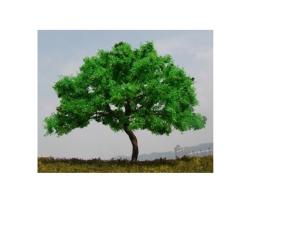 Quality LHG1008 artificial trees--model trees ,model materials,landscape trees for sale